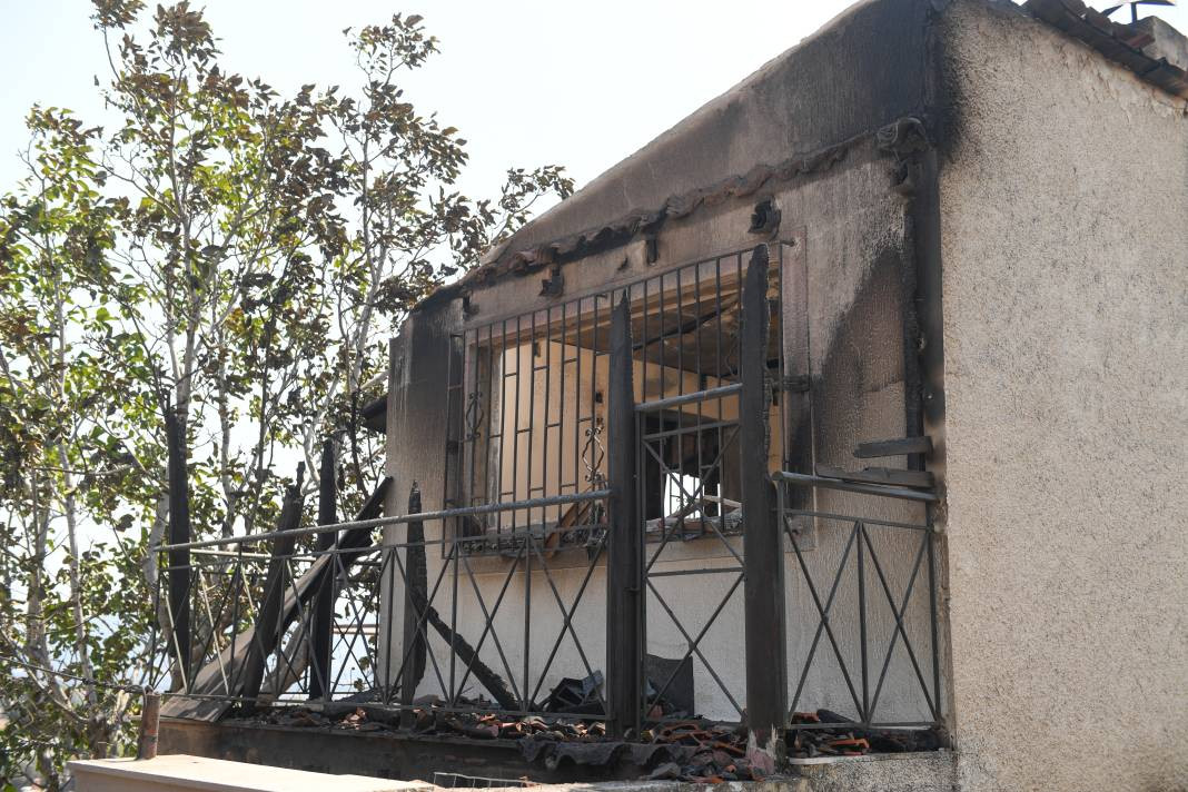 Meriç Bölgesi'nde yanan ormanlık alanda ceset bulundu - Resim: 6